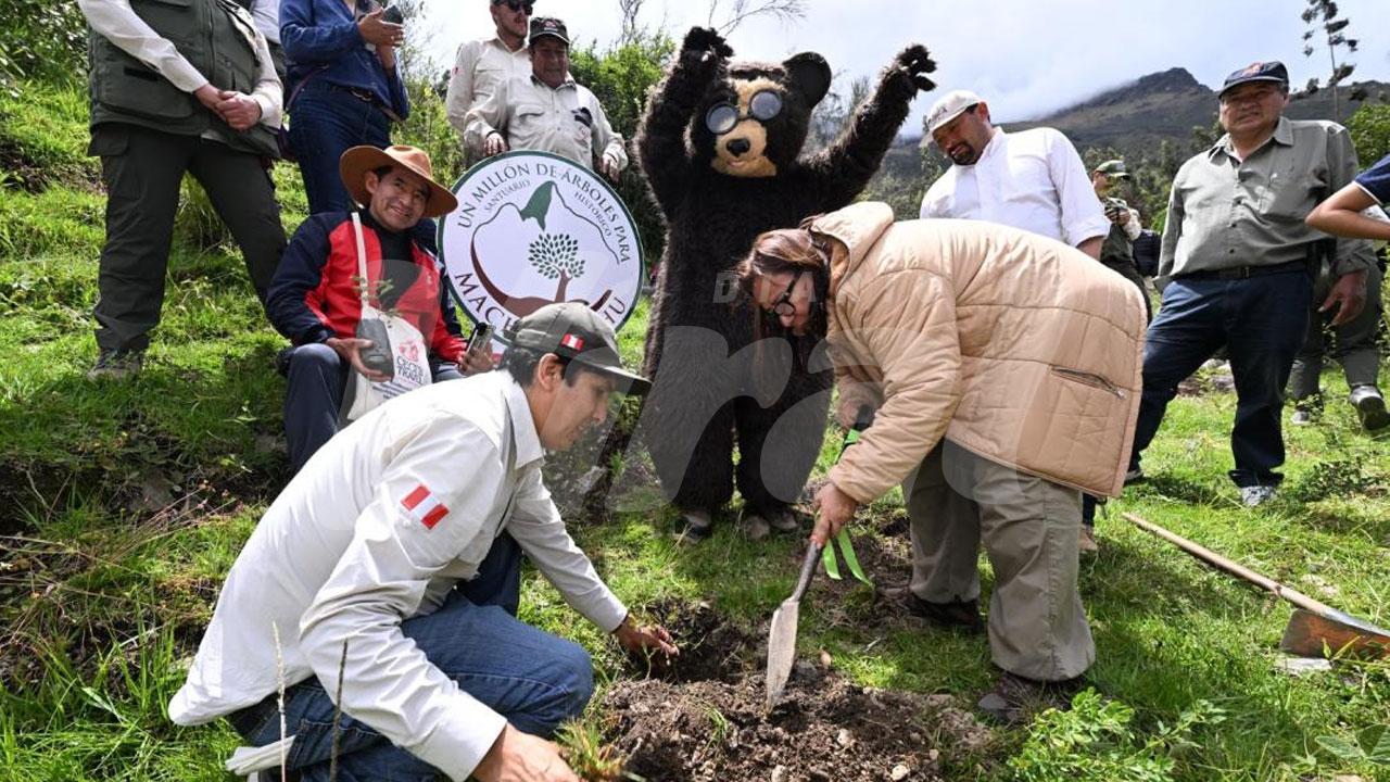 Fans de BTS se unen para reforestar Machu Picchu y devolverle vida a su ecosistema