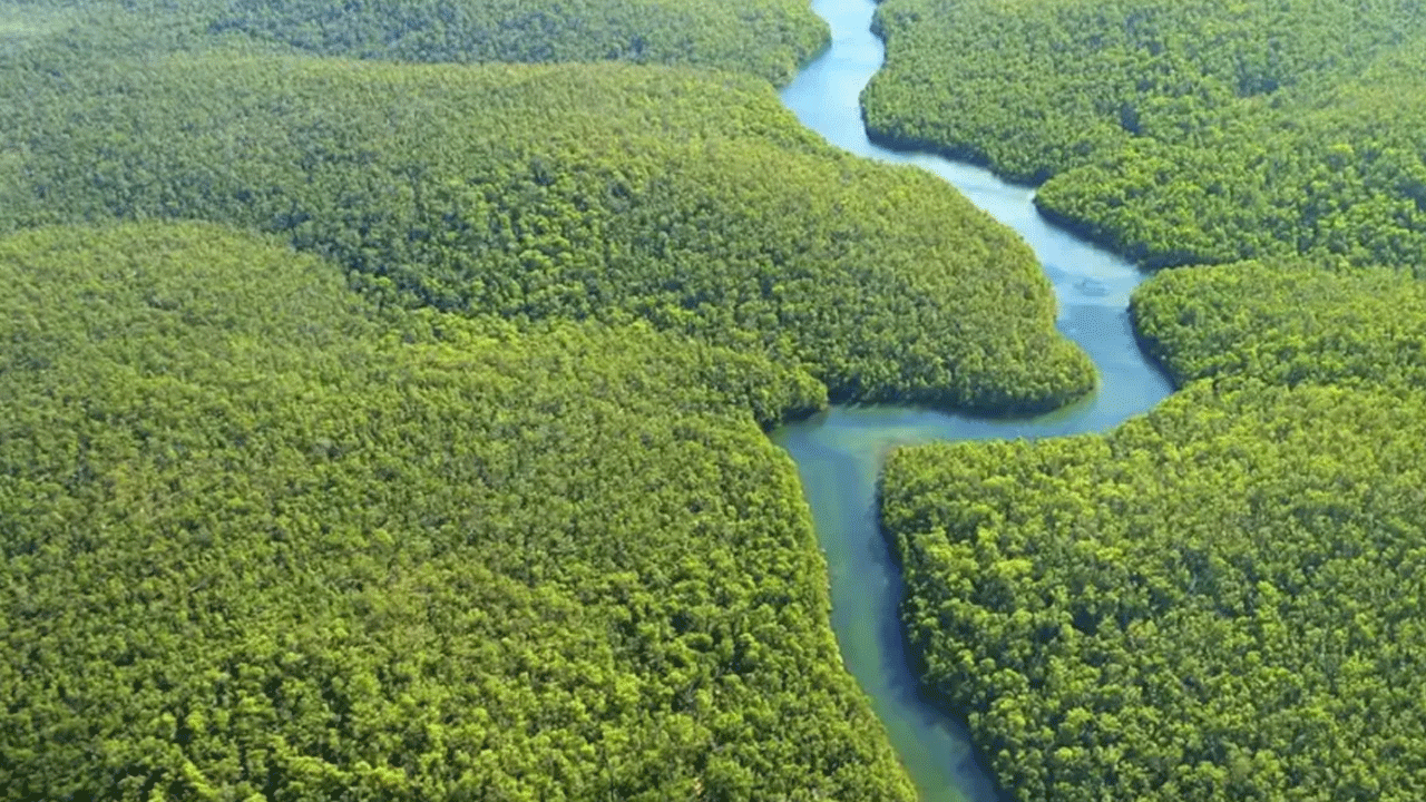 Perú recibe US$37.5 millones para proteger sus áreas naturales